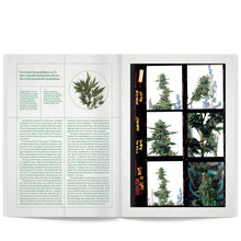 Load image into Gallery viewer, Broccoli Magazine Vol 10