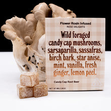 Load image into Gallery viewer, Rose Los Angelese collaborated with Mushroom People, to create Candy Cap Rootbeer. Wild foraged Candy Cap mushrooms are highlighted for their maple-syrup notes and complemented with a 12 ingredient house-made root beer blend, including sarsaparilla, sassafras, birch bark, star anise, mint, vanilla, fresh ginger and lemon peel.