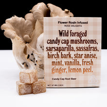 Load image into Gallery viewer, Rose Los Angelese collaborated with Mushroom People, to create Candy Cap Rootbeer. Wild foraged Candy Cap mushrooms are highlighted for their maple-syrup notes and complemented with a 12 ingredient house-made root beer blend, including sarsaparilla, sassafras, birch bark, star anise, mint, vanilla, fresh ginger and lemon peel.
