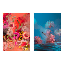 Load image into Gallery viewer, Smoking Flowers Postcard Print Set by Broccoli Magazine
