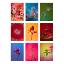 Load image into Gallery viewer, Smoking Flowers Postcard Print Set by Broccoli Magazine
